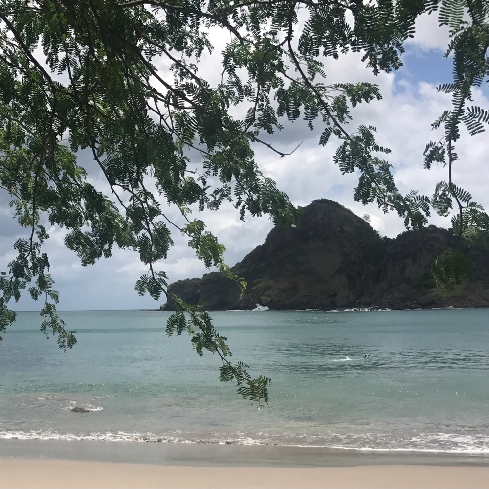 Meet your Posher, Carol